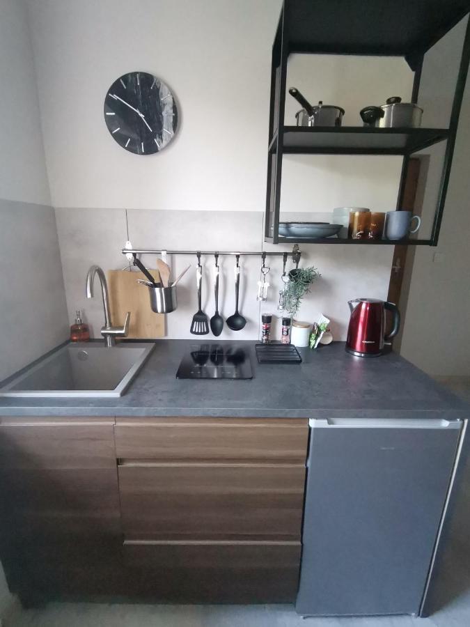 Motyl Apartamenty Studio Lub Pokoj Z Lazienka บือตอม ภายนอก รูปภาพ